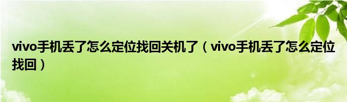 vivo手机丢了怎么定位找回关机了（vivo手机丢了怎么定位找回）