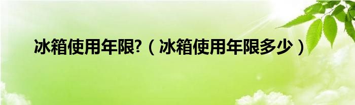 冰箱使用年限?（冰箱使用年限多少）