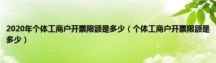 2020年个体工商户开票限额是多少（个体工商户开票限额是多少）