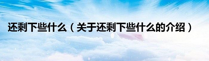 还剩下些什么（关于还剩下些什么的介绍）