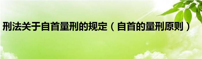 刑法关于自首量刑的规定（自首的量刑原则）