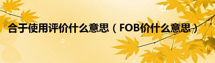 合于使用评价什么意思（FOB价什么意思）