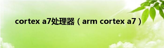 cortex a7处理器（arm cortex a7）