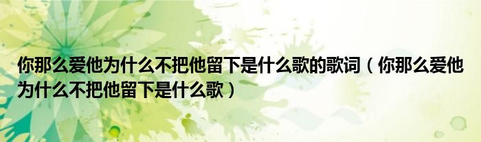 你那么爱他为什么不把他留下是什么歌的歌词（你那么爱他为什么不把他留下是什么歌）