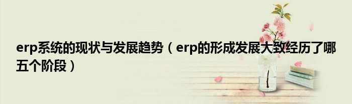 erp系统的现状与发展趋势（erp的形成发展大致经历了哪五个阶段）