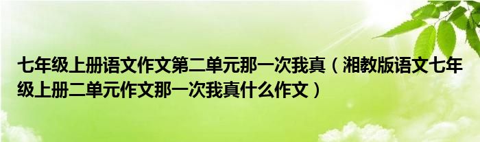 七年级上册语文作文第二单元那一次我真（湘教版语文七年级上册二单元作文那一次我真什么作文）