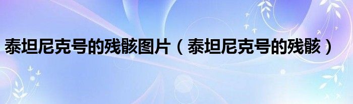 泰坦尼克号的残骸图片（泰坦尼克号的残骸）