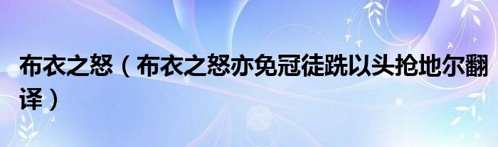 布衣之怒（布衣之怒亦免冠徒跣以头抢地尔翻译）