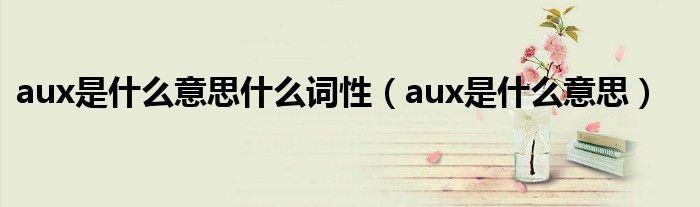 aux是什么意思什么词性（aux是什么意思）