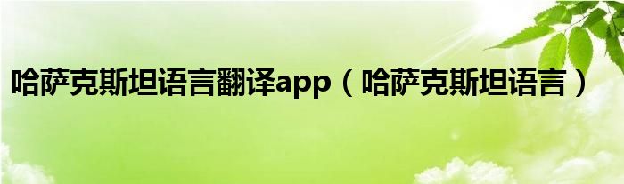 哈萨克斯坦语言翻译app（哈萨克斯坦语言）