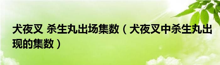 犬夜叉 杀生丸出场集数（犬夜叉中杀生丸出现的集数）