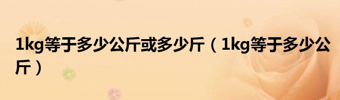 1kg等于多少公斤或多少斤（1kg等于多少公斤）