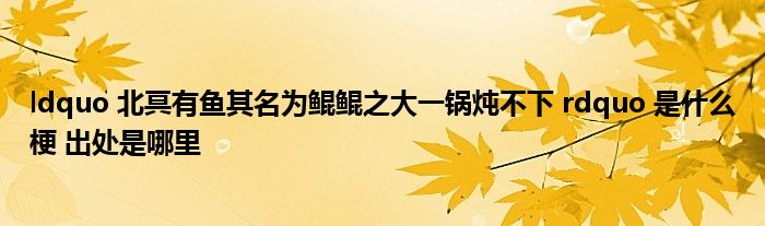 ldquo 北冥有鱼其名为鲲鲲之大一锅炖不下 rdquo 是什么梗 出处是哪里