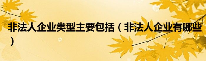 非法人企业类型主要包括（非法人企业有哪些）