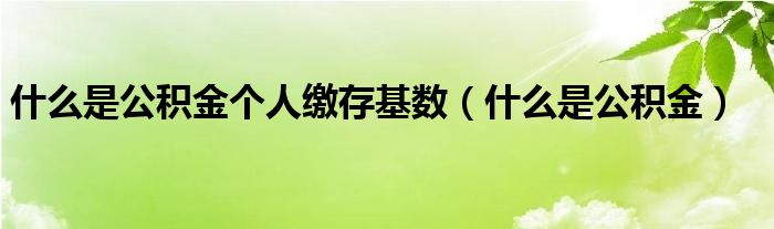 什么是公积金个人缴存基数（什么是公积金）