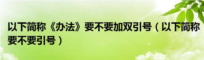 以下简称《办法》要不要加双引号（以下简称要不要引号）