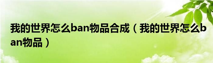 我的世界怎么ban物品合成（我的世界怎么ban物品）