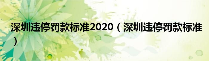 深圳违停罚款标准2020（深圳违停罚款标准）