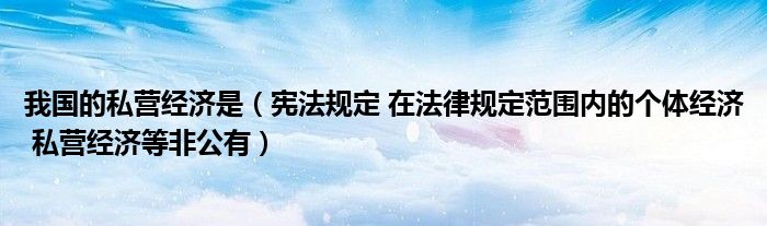 我国的私营经济是（宪法规定 在法律规定范围内的个体经济 私营经济等非公有）