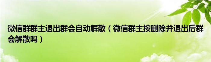 微信群群主退出群会自动解散（微信群主按删除并退出后群会解散吗）