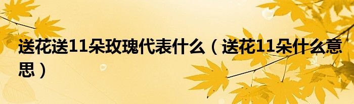 送花送11朵玫瑰代表什么（送花11朵什么意思）