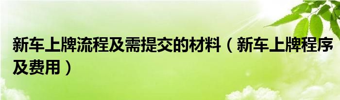 新车上牌流程及需提交的材料（新车上牌程序及费用）