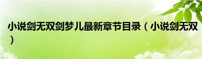 小说剑无双剑梦儿最新章节目录（小说剑无双）