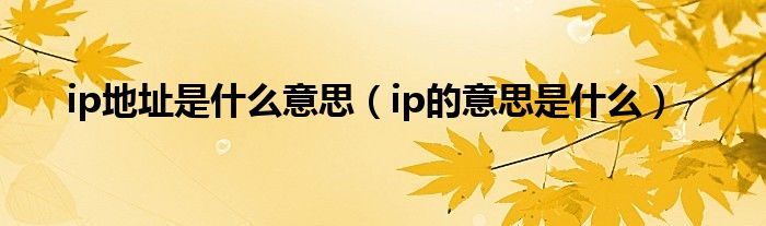 ip地址是什么意思（ip的意思是什么）