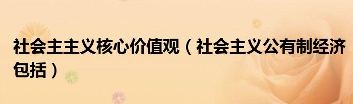 社会主主义核心价值观（社会主义公有制经济包括）