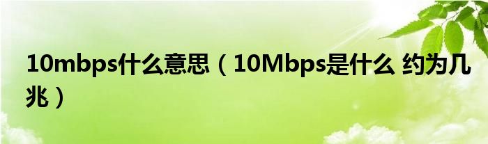 10mbps什么意思（10Mbps是什么 约为几兆）