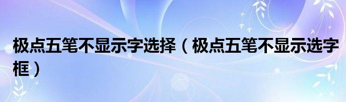 极点五笔不显示字选择（极点五笔不显示选字框）