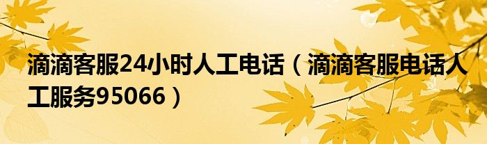 滴滴客服24小时人工电话（滴滴客服电话人工服务95066）