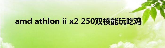 amd athlon ii x2 250双核能玩吃鸡