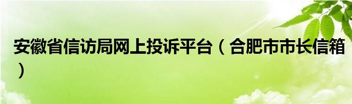 安徽省信访局网上投诉平台（合肥市市长信箱）