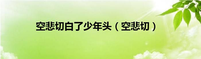 空悲切白了少年头（空悲切）