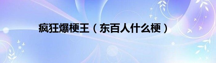 疯狂爆梗王（东百人什么梗）