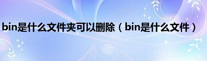 bin是什么文件夹可以删除（bin是什么文件）