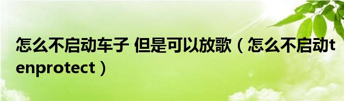 怎么不启动车子 但是可以放歌（怎么不启动tenprotect）