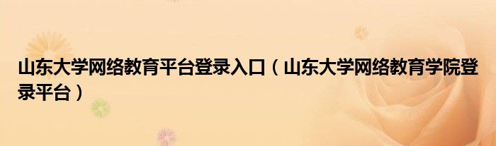 山东大学网络教育平台登录入口（山东大学网络教育学院登录平台）