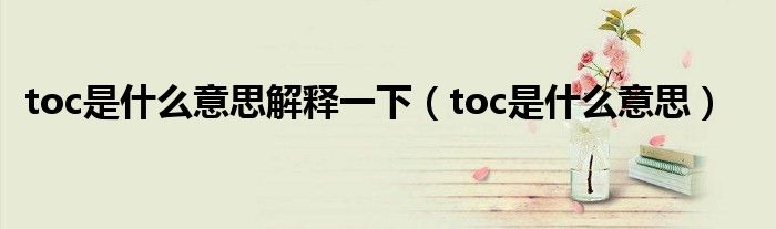 toc是什么意思解释一下（toc是什么意思）