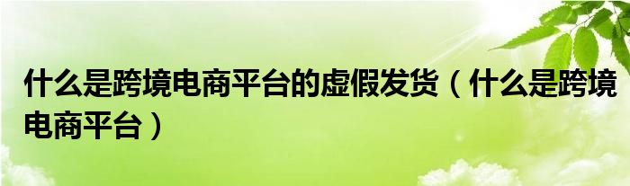 什么是跨境电商平台的虚假发货（什么是跨境电商平台）