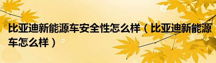 比亚迪新能源车安全性怎么样（比亚迪新能源车怎么样）