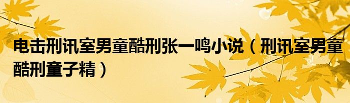 电击刑讯室男童酷刑张一鸣小说（刑讯室男童酷刑童子精）