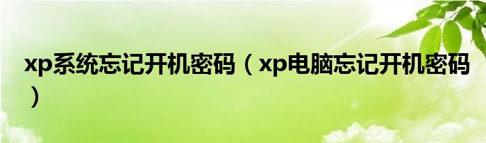 xp系统忘记开机密码（xp电脑忘记开机密码）