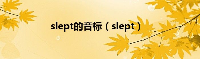 slept的音标（slept）