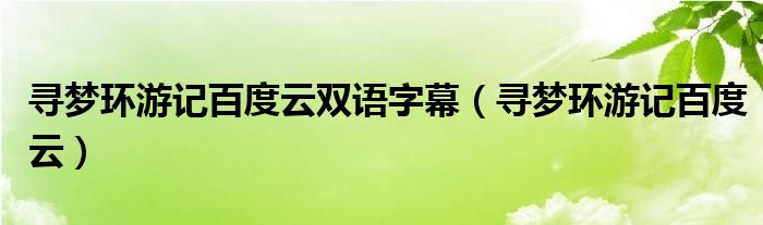 寻梦环游记百度云双语字幕（寻梦环游记百度云）