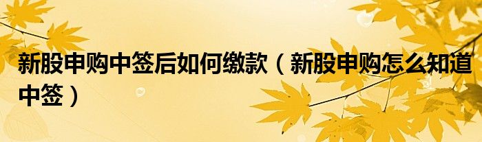 新股申购中签后如何缴款（新股申购怎么知道中签）