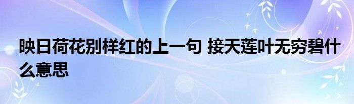 映日荷花别样红的上一句 接天莲叶无穷碧什么意思