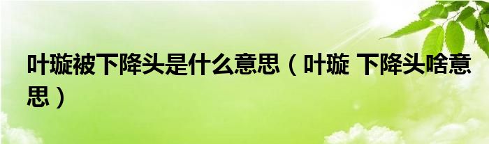 叶璇被下降头是什么意思（叶璇 下降头啥意思）