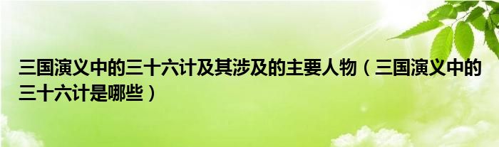 三国演义中的三十六计及其涉及的主要人物（三国演义中的三十六计是哪些）